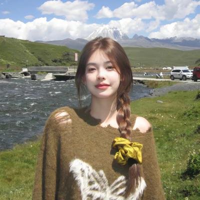 大唐狄公案